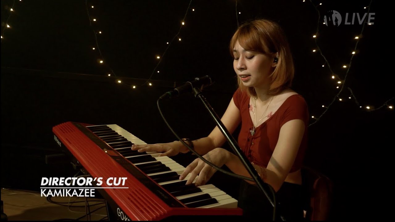 KAMIKAZEE - DIRECTOR'S CUT background