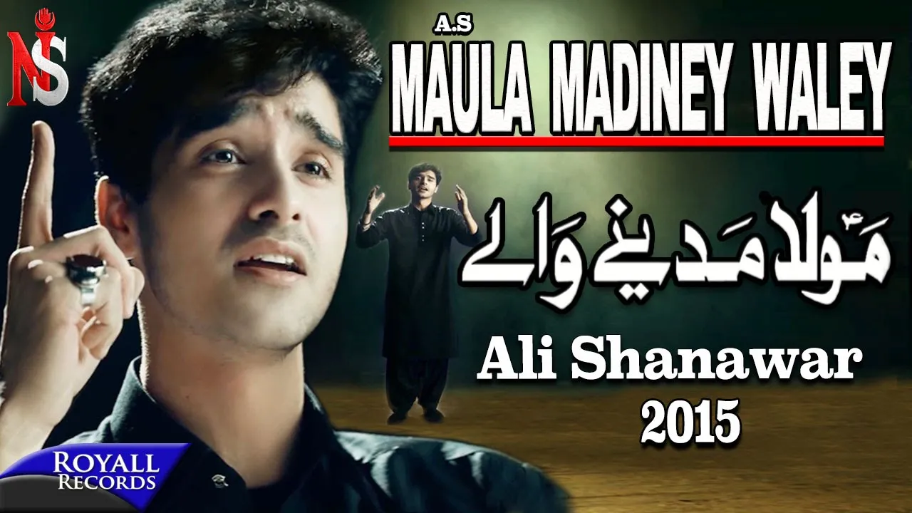 Ali Shanawar | Maula Madiney Waley | 2014 backdrop