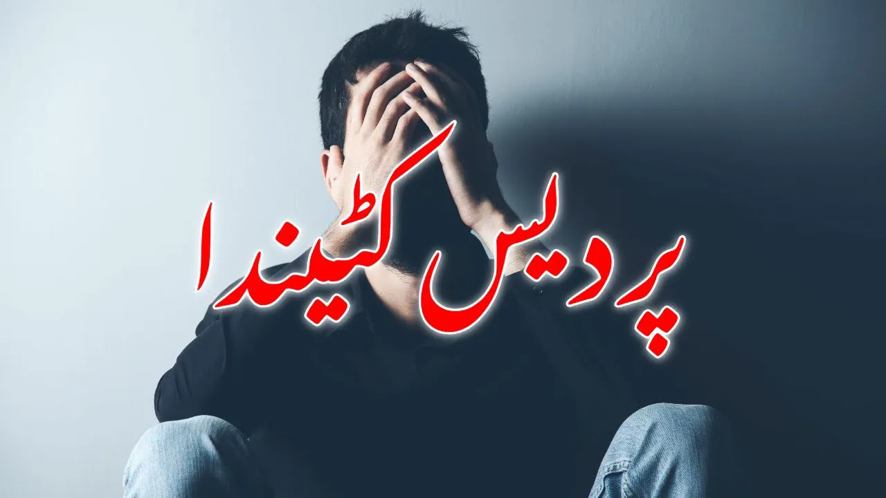 Pardes katenda | پردیس کٹیندا | adnaan dhool background