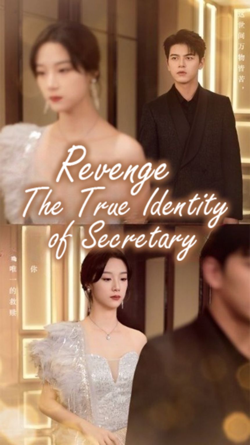 revenge: The True Identity of Secretary poster