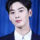 Cha Eun-Woo