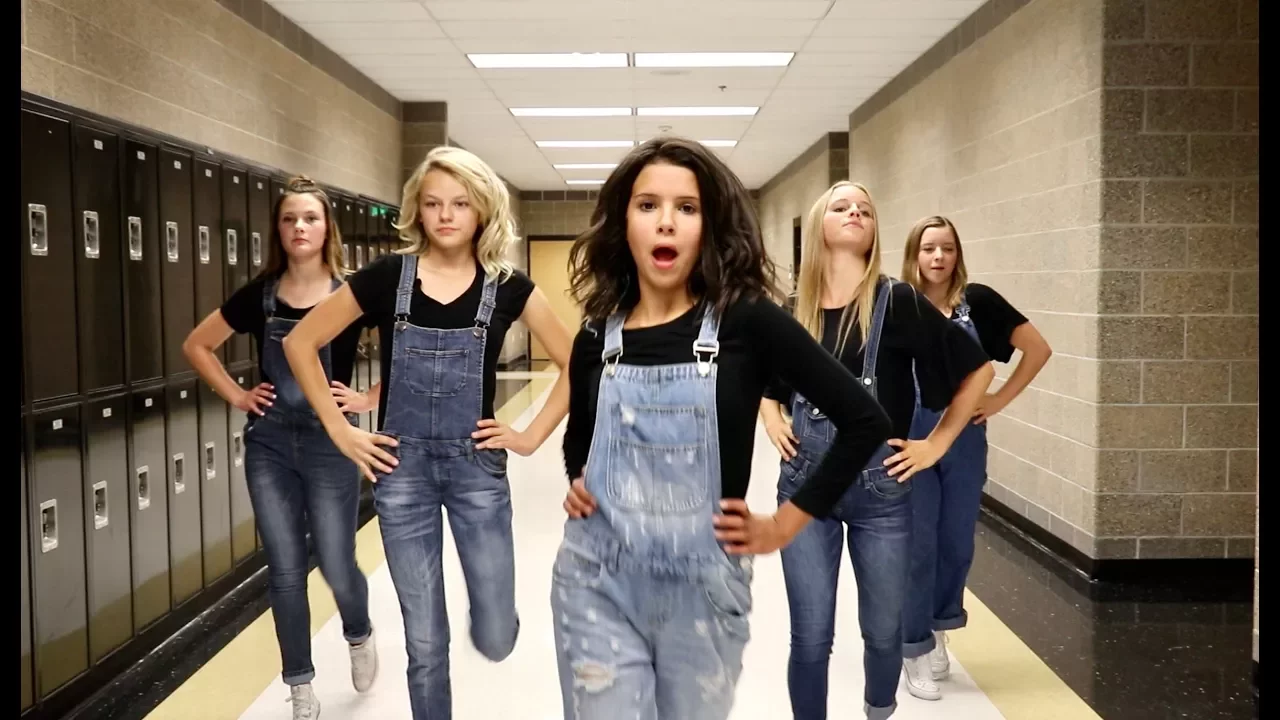 Taylor Swift - Look What You Made Me Do PARODY - TEEN CRUSH background