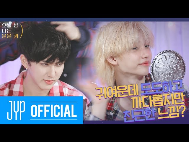 귀여운데 도도하고 까다롭지만 친근한 느낌 | 오늘 밤 나는 불을 켜(All-Night SKZ) Ep.01 (2021) | Watch on Movi47