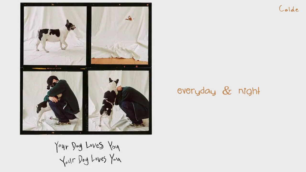 Colde - Your Dog Loves You (Feat. Crush) lyrics (HANGUL/ROMANIZATION/ENGLISH)