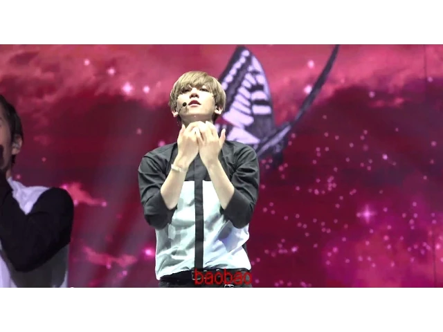 150530 The EXO’luXion 나비소녀 백현 baekhyun Don't Go -2