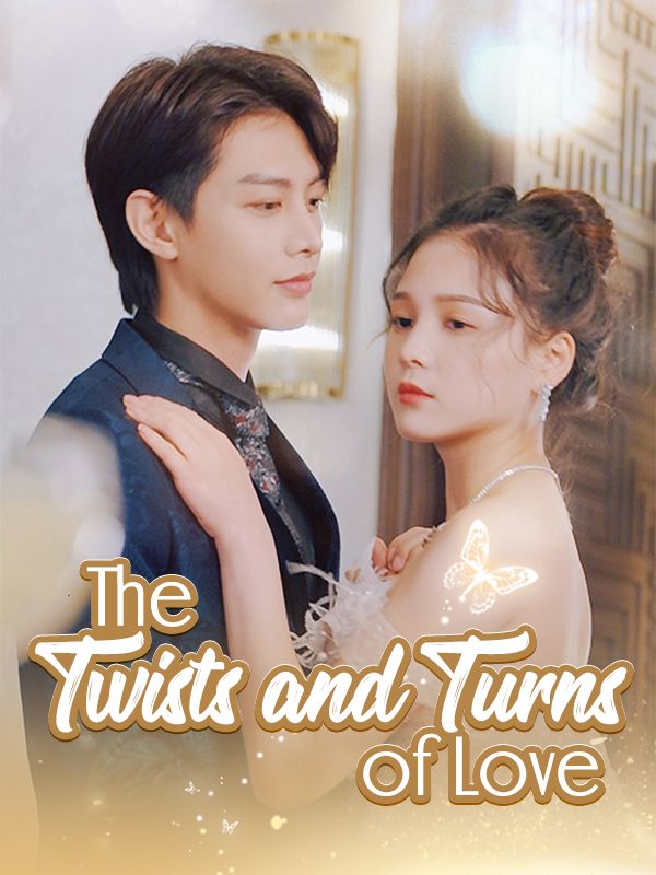 The Twists and Turns of Love poster