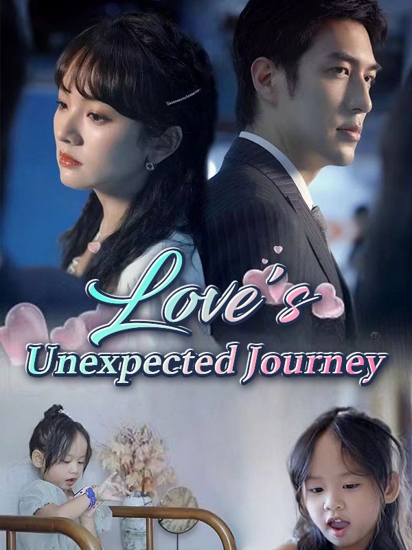 Love's Unexpected Journey poster