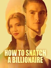 How to Snatch a Billionaire