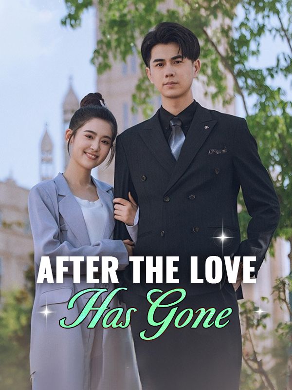 After the Love Has Gone poster