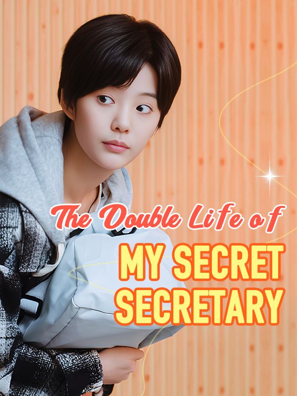 The Double Life of My Secret Secretary poster
