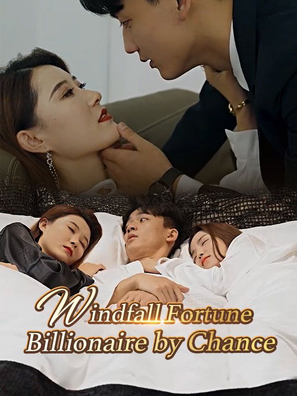 Windfall Fortune: Billionaire by Chance poster