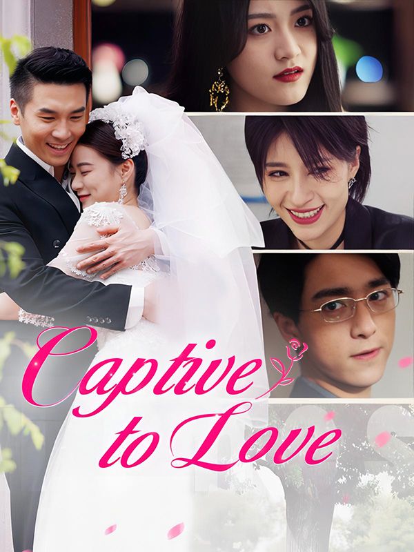 Captive to Love poster
