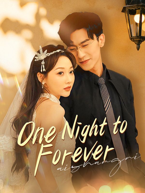 One Night to Forever poster