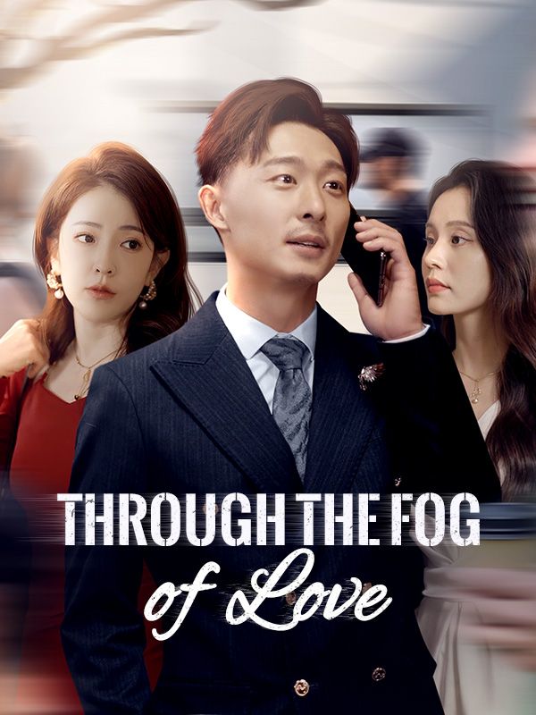Through the Fog of Love poster