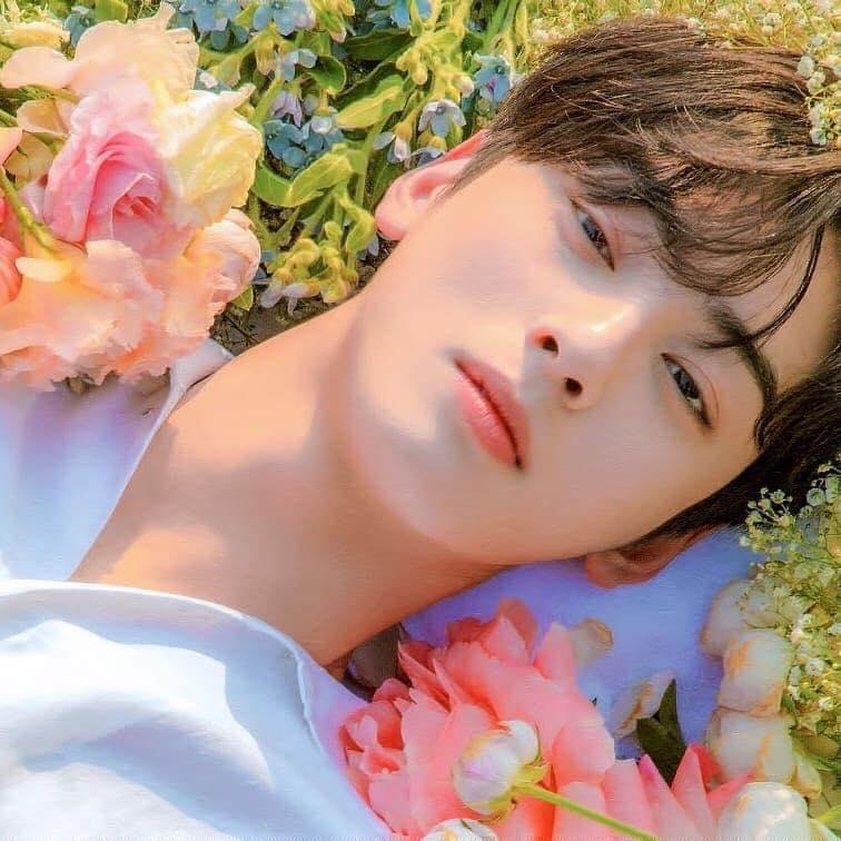 Cha Eun woo
