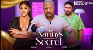 THE NANNY'S SECRET