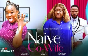 NAIVE CO-WIFE 1 - LIZZY GOLD RACHAEL OKONKWO OGBU JOHNSON- 2024 Latest Nigerian Nollywood Movie
