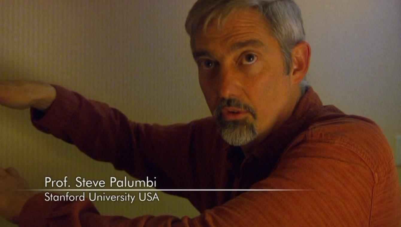 actor Stephen R. Palumbi large photo