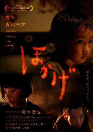 Shadow of Fire [Indonesian]