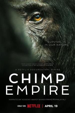 Chimp Empire [Indonesian]