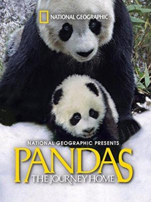 Pandas: The Journey Home [Indonesian]