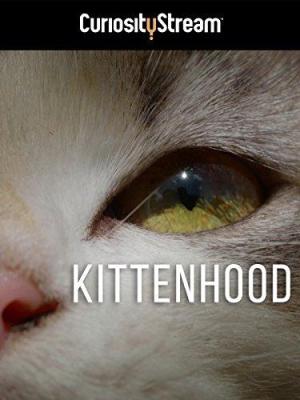 Kittenhood [Indonesian]