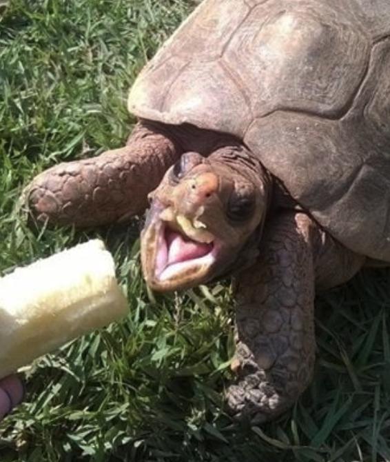 actor Cooper Roberts large photo