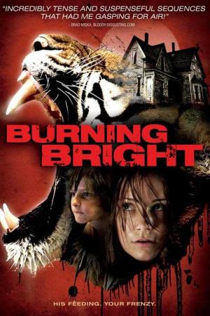 Burning Bright [Kurdish]