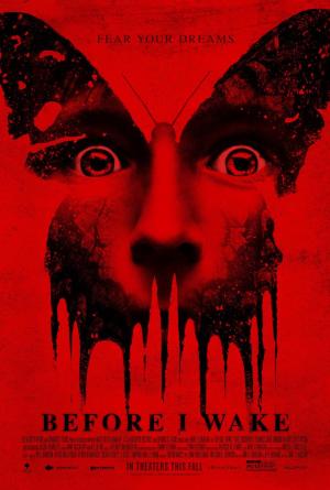 Before I Wake [Hindi]