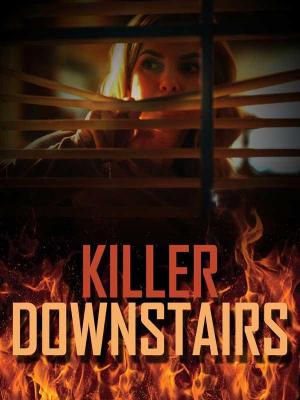 The Killer Downstairs [Hindi]