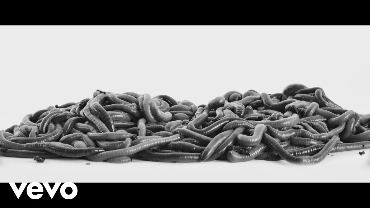 Residente, Nach - Rap Bruto (Official Video) background