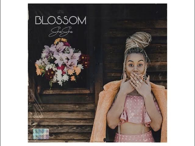 Something About You feat DJ Maphorisa & Kabza De Small (Official Audio) | ShaSha