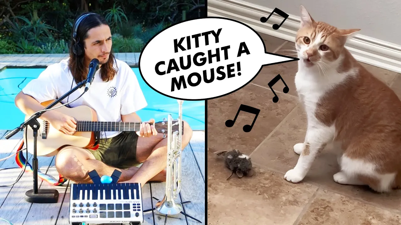 The Kiffness x Kyro (Singing Cat) - Kitty Caught a Mouse background