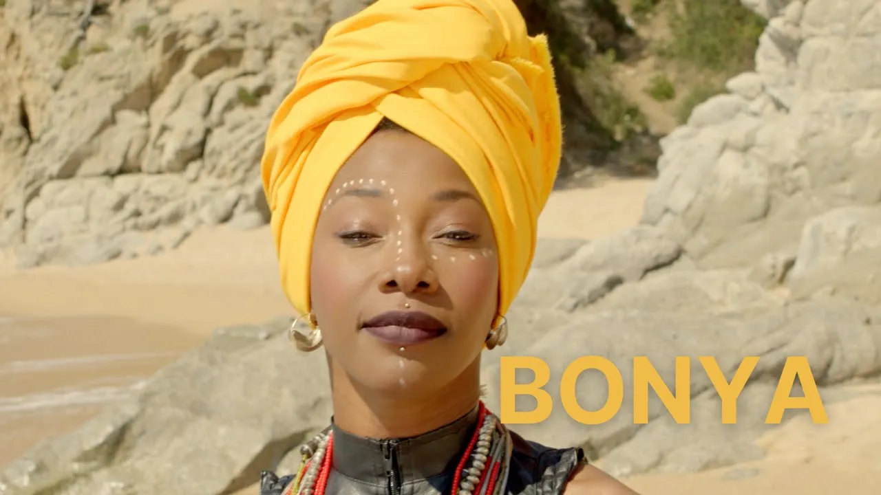 Fatoumata Diawara - Bonya background