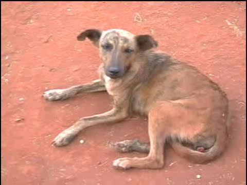 vuusya ungu - Muoi (Official Video)