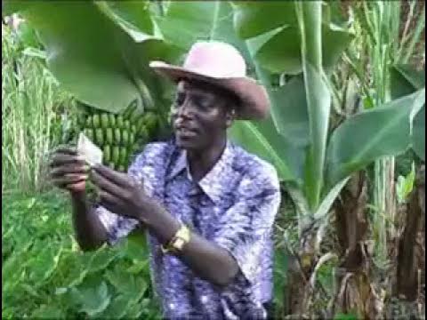John De'Mathew - Muoyo ti Kibandi (Official video) background