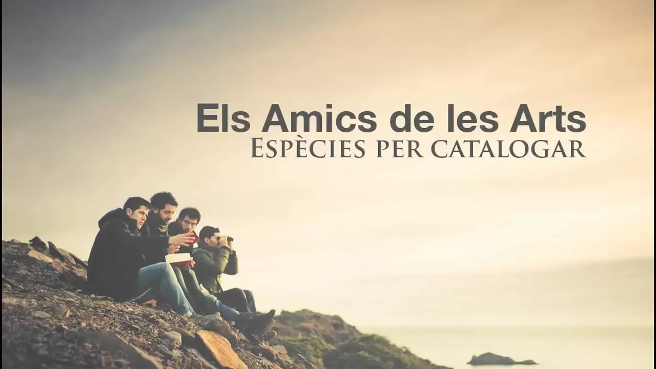 Els Amics de les Arts - Louisiana o els camps de cotó