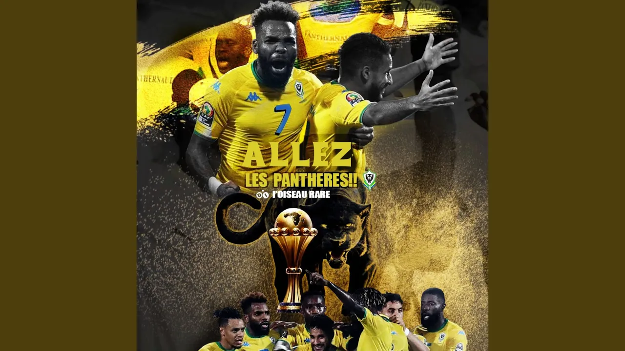 Allez Les Pantheres background