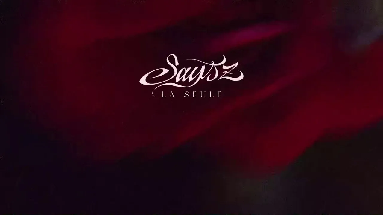 Says’z - La Seule ( Official Lyrics Video ) background
