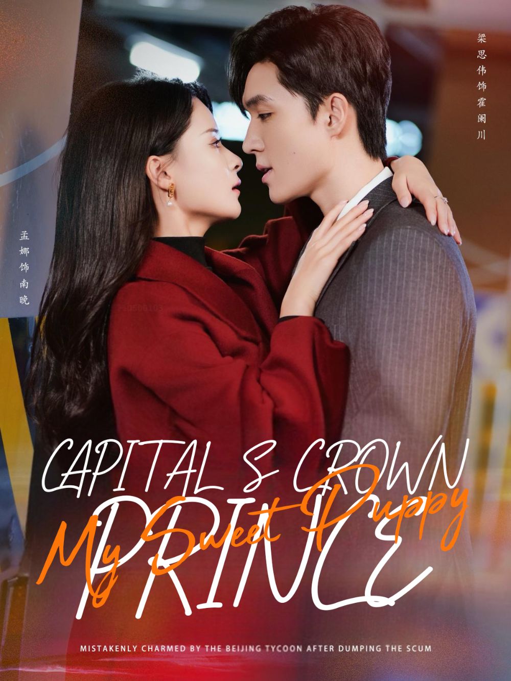 Capital's Crown Prince: My Sweet Puppy poster