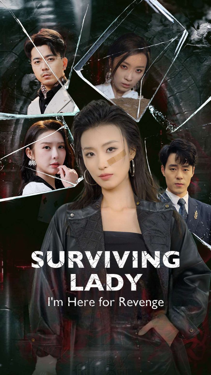 Surviving Lady: I'm Here for Revenge poster