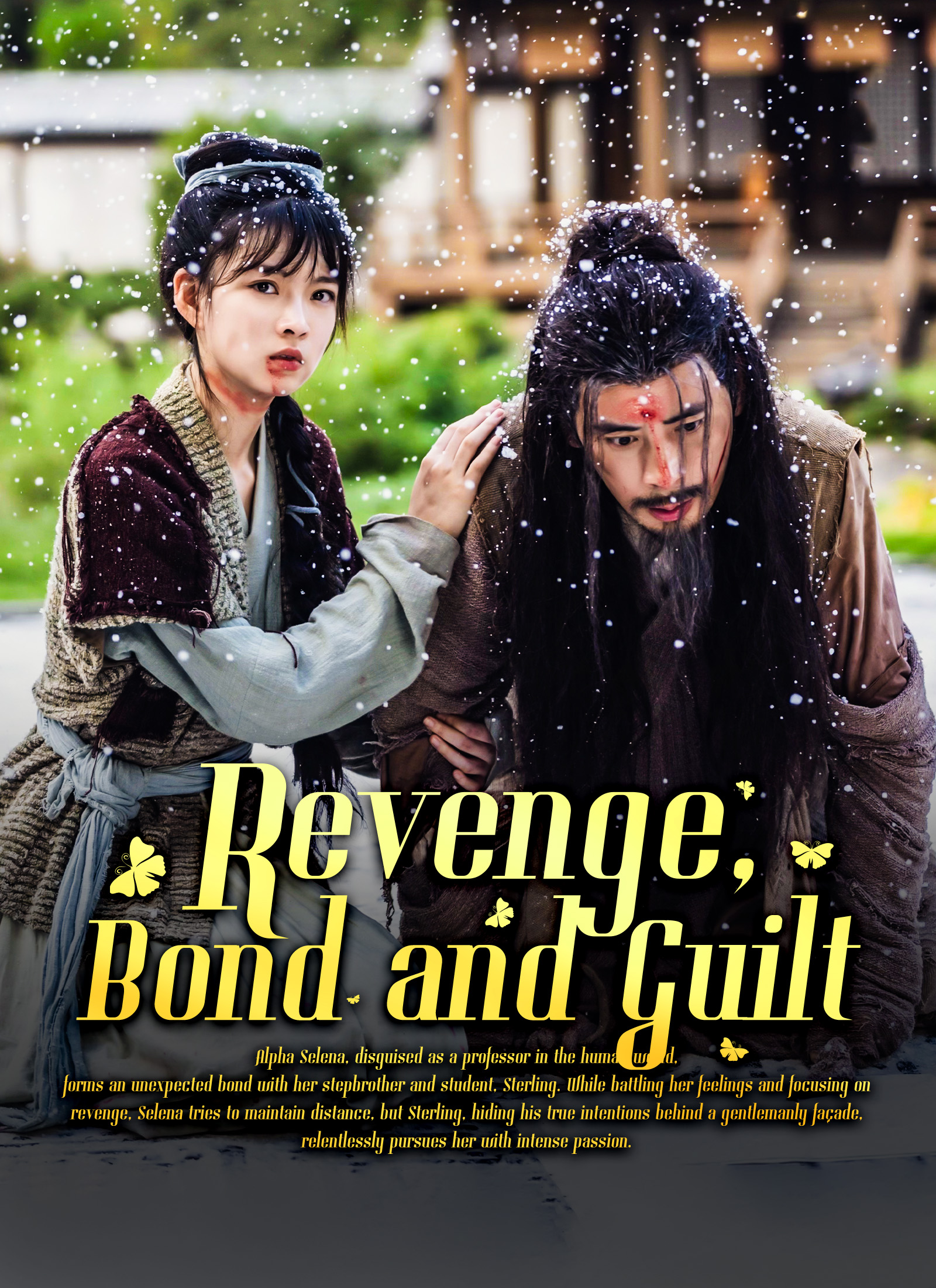 Revenge, Bond and Guilt poster