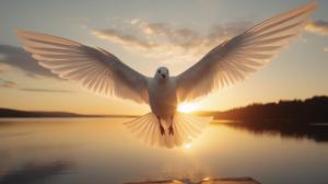White Bird [Russian]
