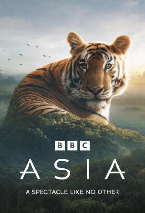 Asia [ترجمة عربية]