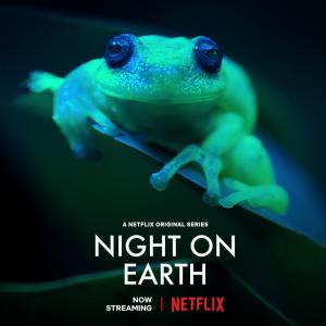 Night on Earth [Kurdish]
