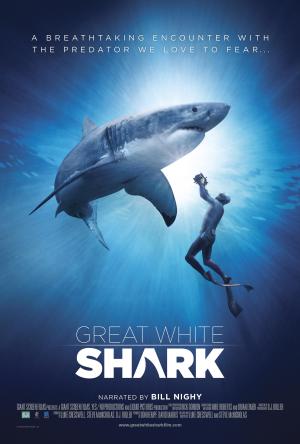 Great White Shark [ترجمة عربية]