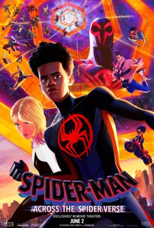 Spider-Man: Across the Spider-Verse[Hindi]