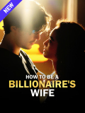 HOW TO BE A BILLIONAIRE'S WIFE