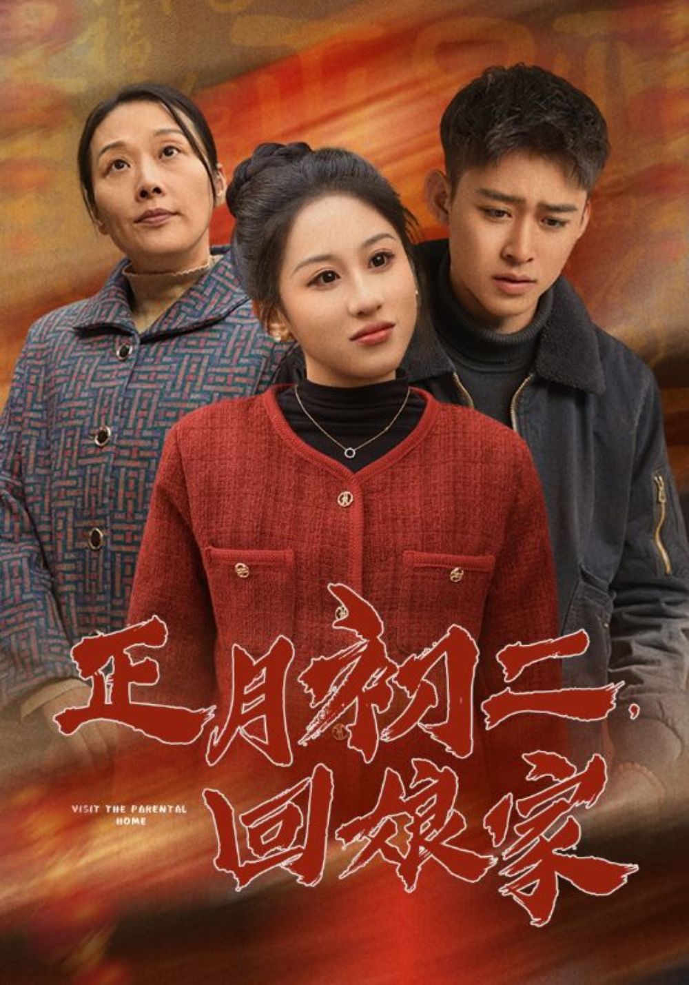 Go Home: Bad Mother-in-law poster