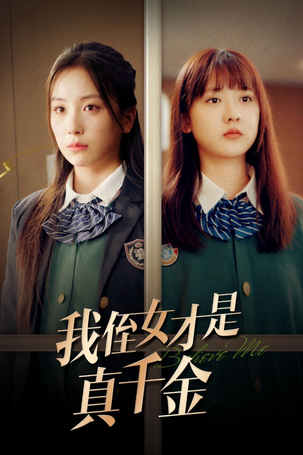 My Niece Is the True Heiress! poster